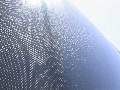 Carbon Fiber Decklid